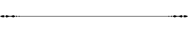 Section Divider